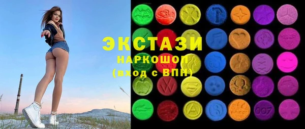 крисы Богородицк