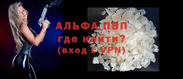 крисы Богородицк