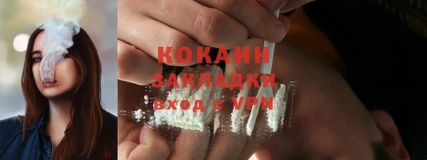 крисы Богородицк