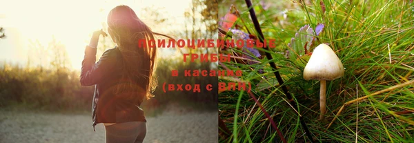 скорость Бородино