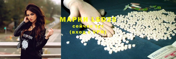 крисы Богородицк