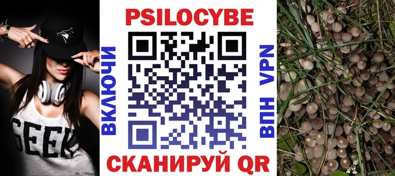 Галлюциногенные грибы Cubensis  сколько стоит  Гудермес 